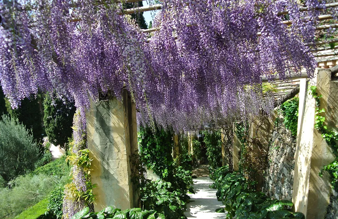 Villa della Pergola Relais et Chateaux-1