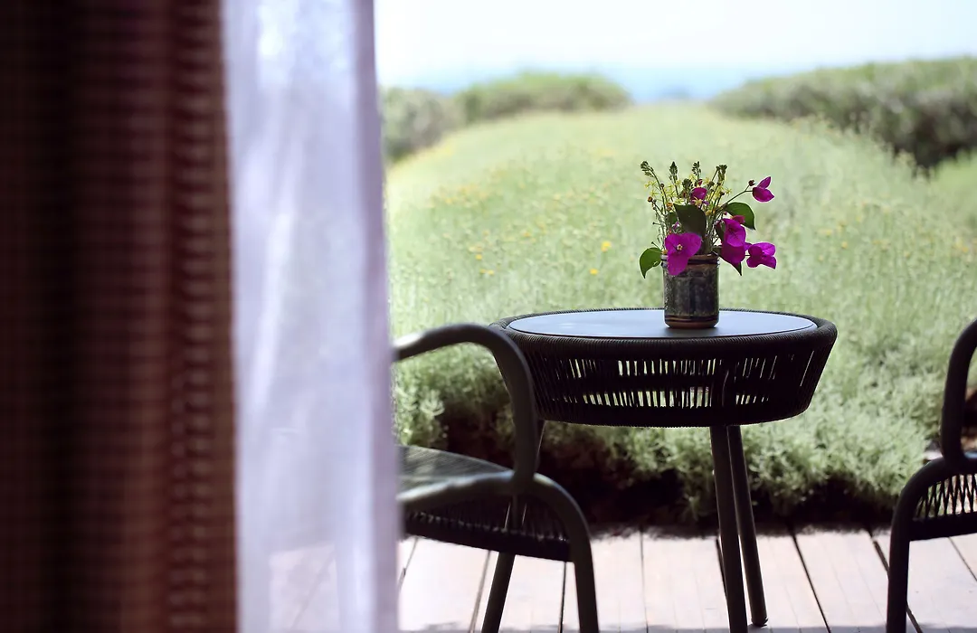 La Foresteria Planeta Wine Resort & Beach Club-1