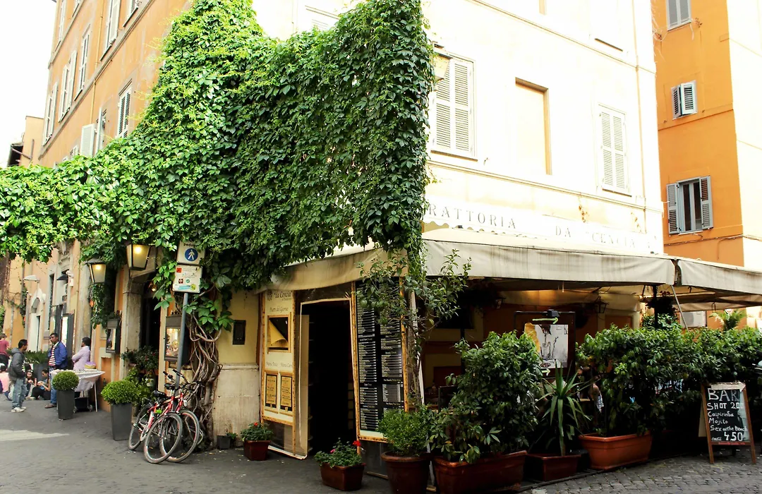 B&B Ventisei Scalini A Trastevere-1