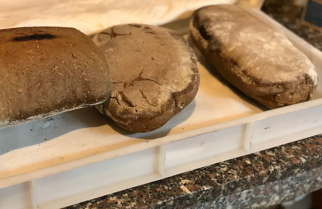 Villa Patrizia-1