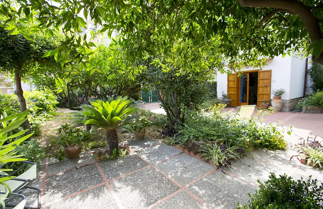 Lumachella B&B-1