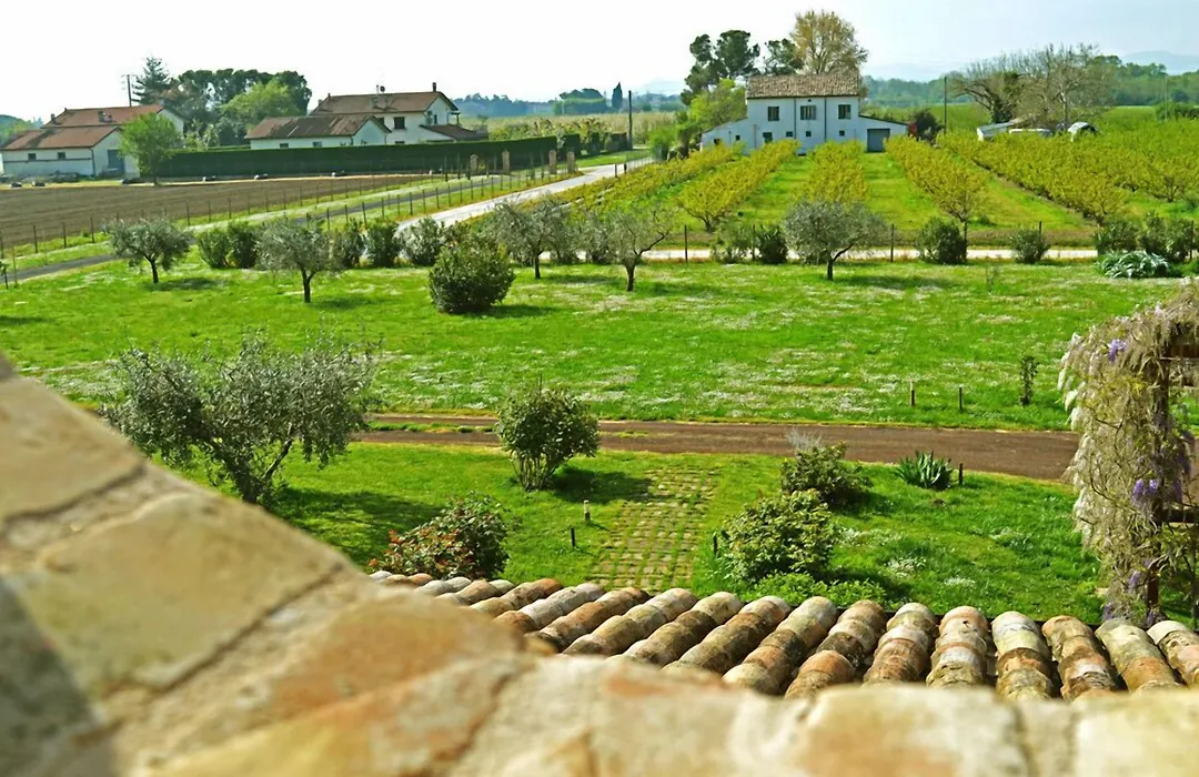 La Fornasaccia-1