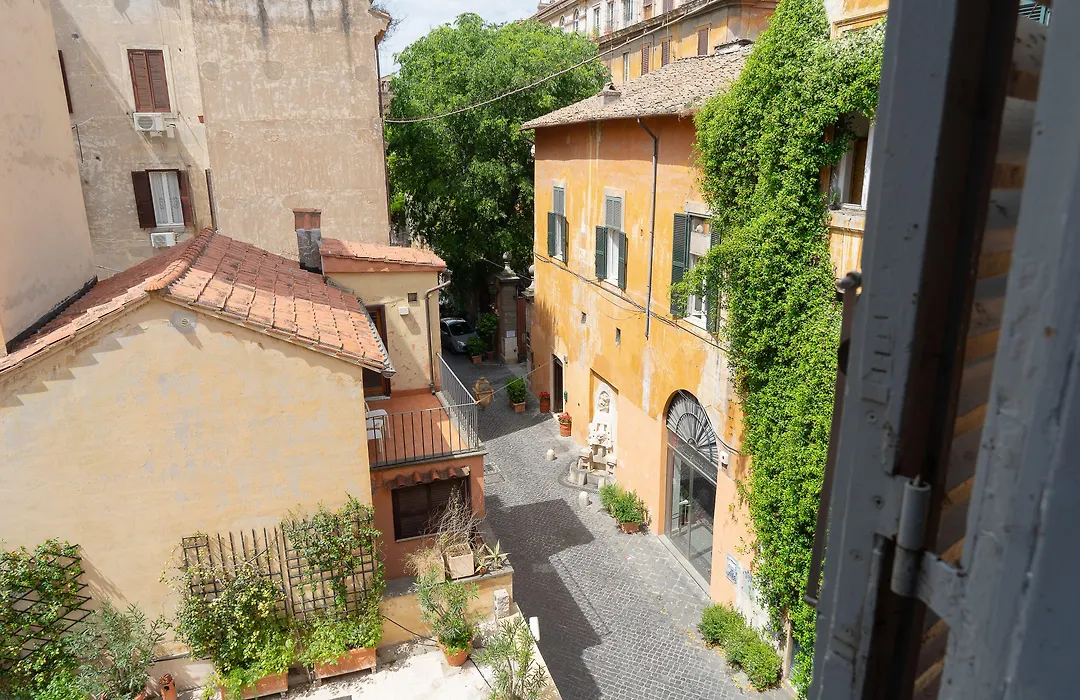 Babuino 79-1
