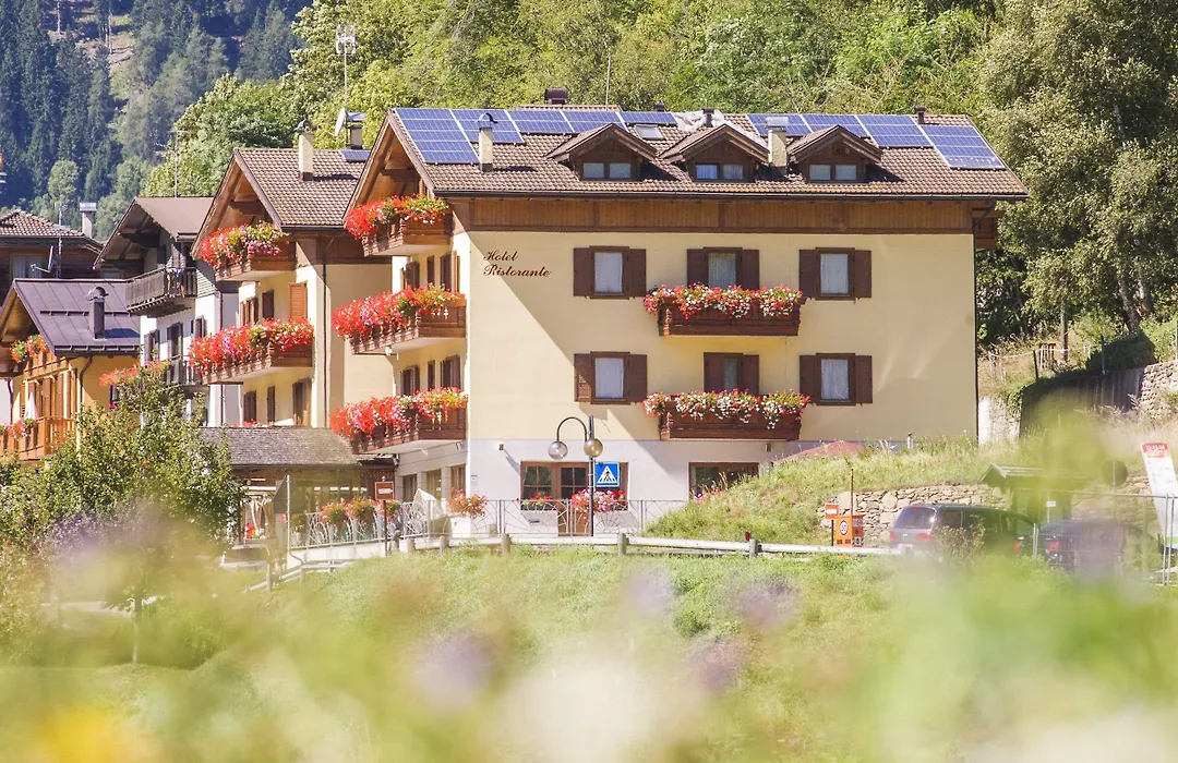 Hotel Pezzotti-1