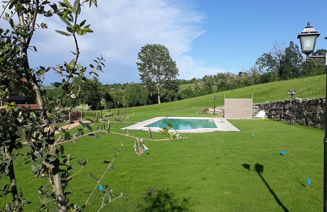 Resort Limax Acis-1