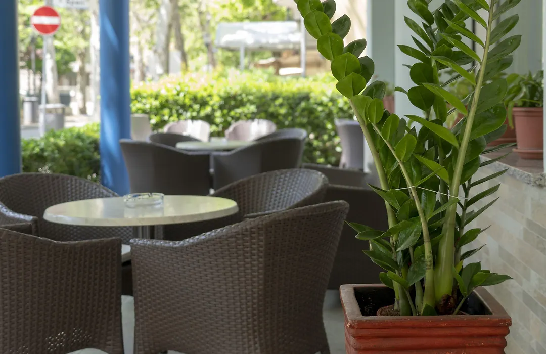Hotel Adigrat-1