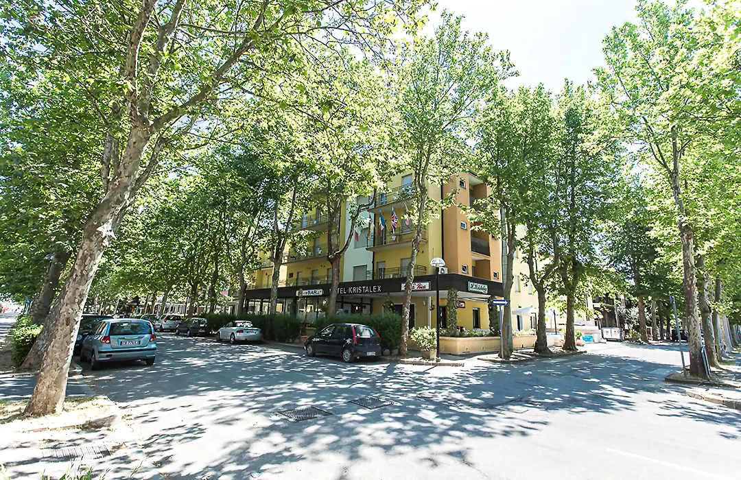 Kristalex Pet Friends Hotel-1