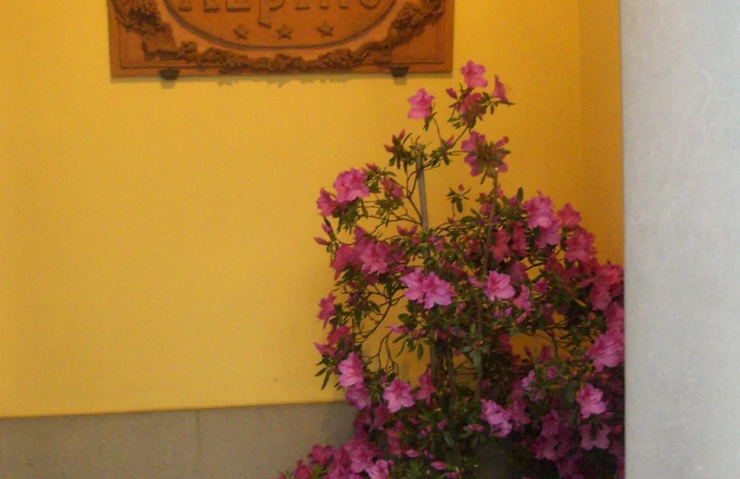 Hotel Alpino-1