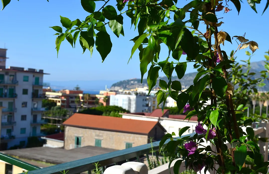 Luiselle Charming Accommodation Sorrento City Center-1