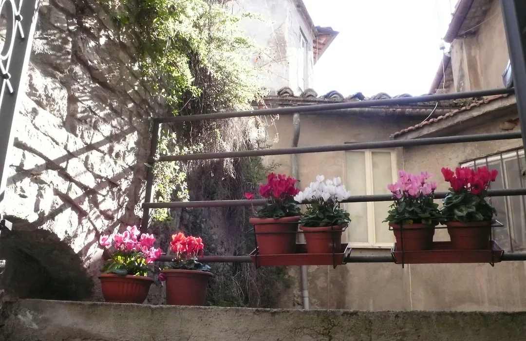 Le Camere Di Casa Cassandra-1