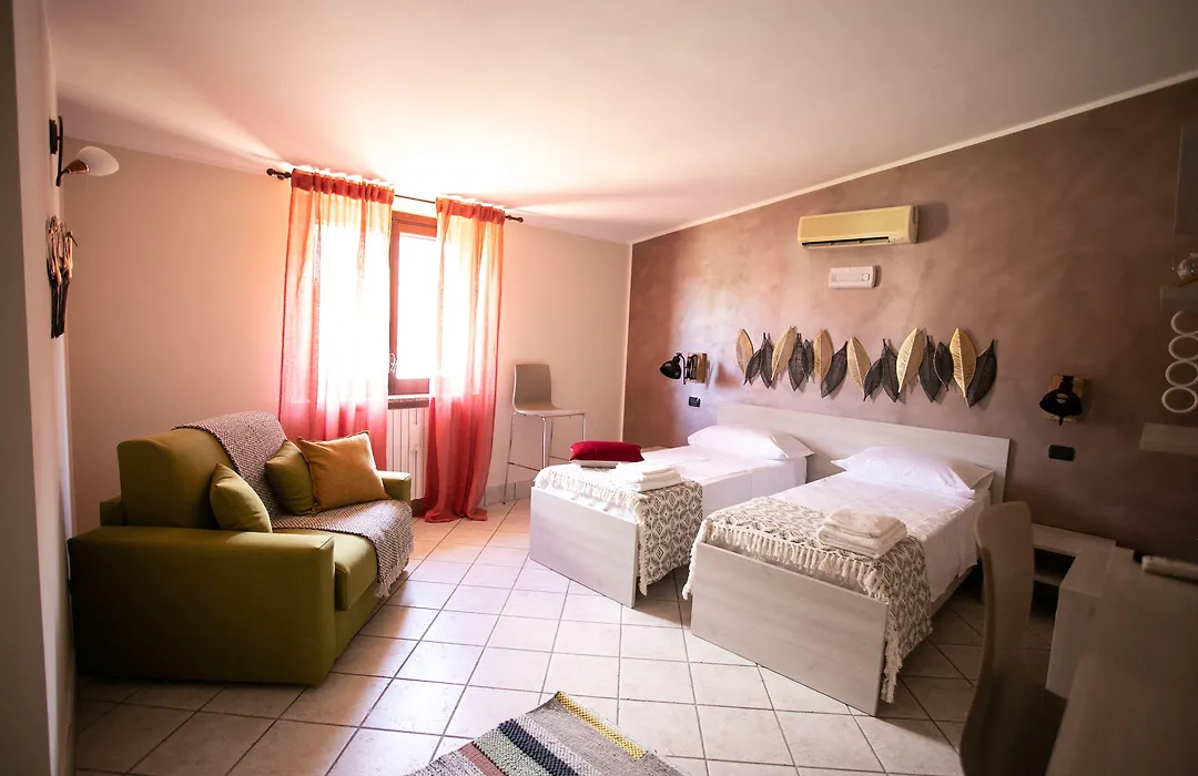B&B Trepo-1