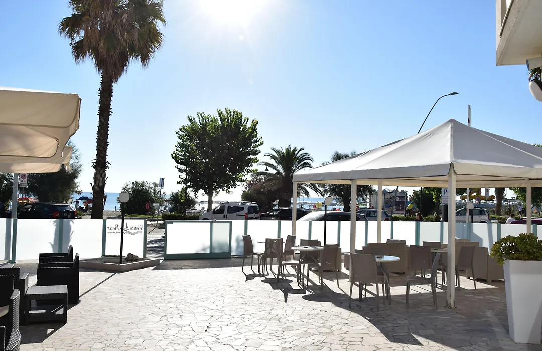 Hotel Petite Fleur-1
