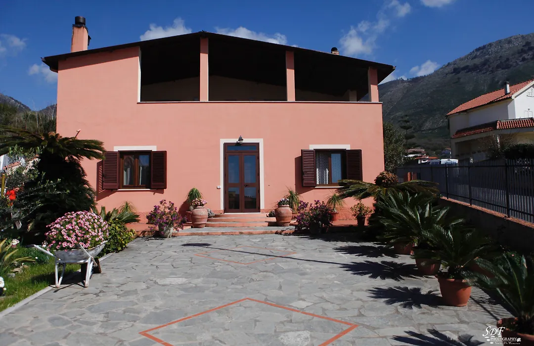 B&B Umballa-1