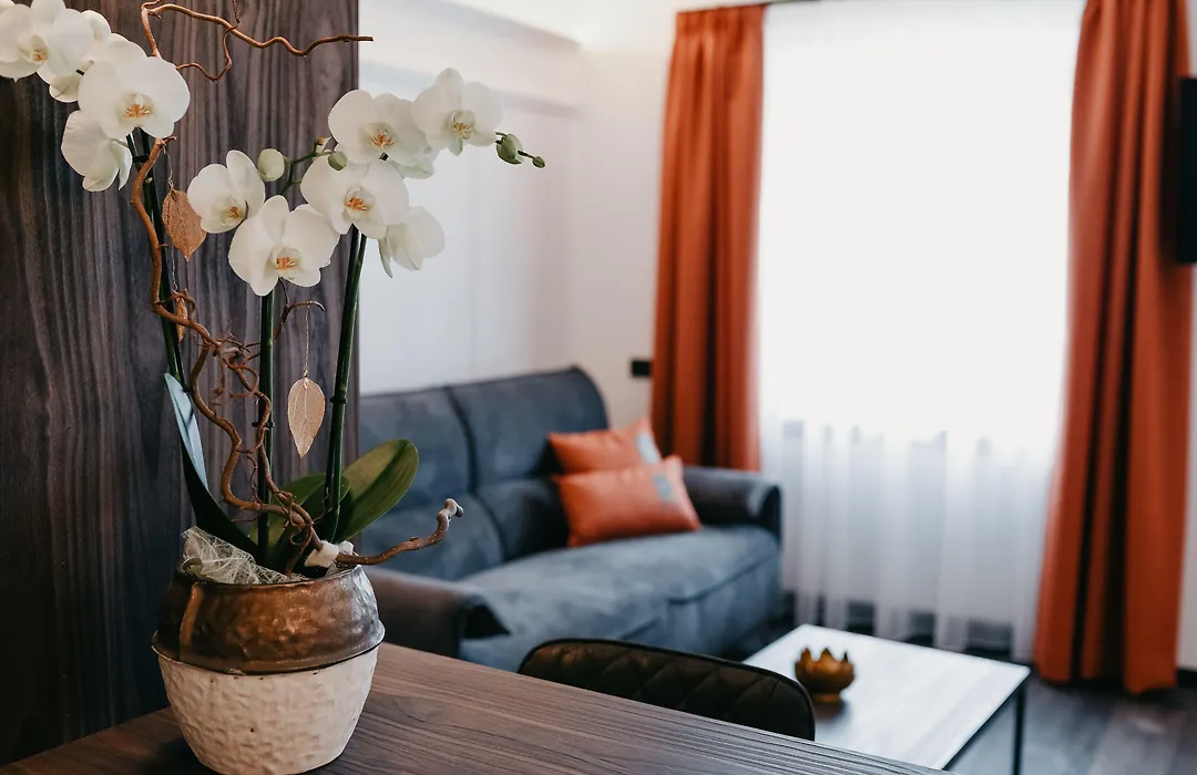 Nepomuk Rooms-1