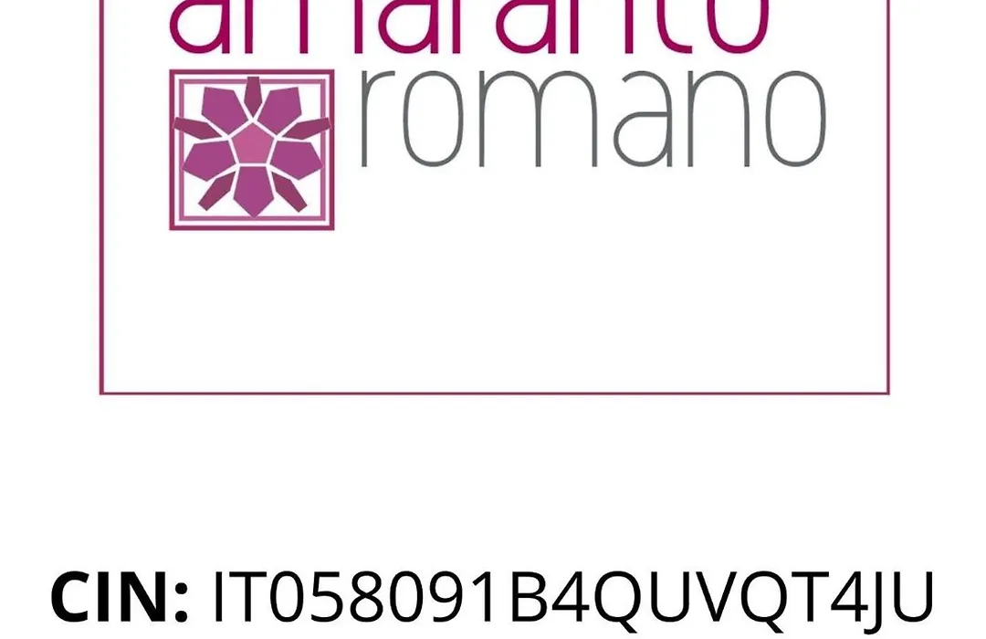 Guest House Amaranto Romano-1