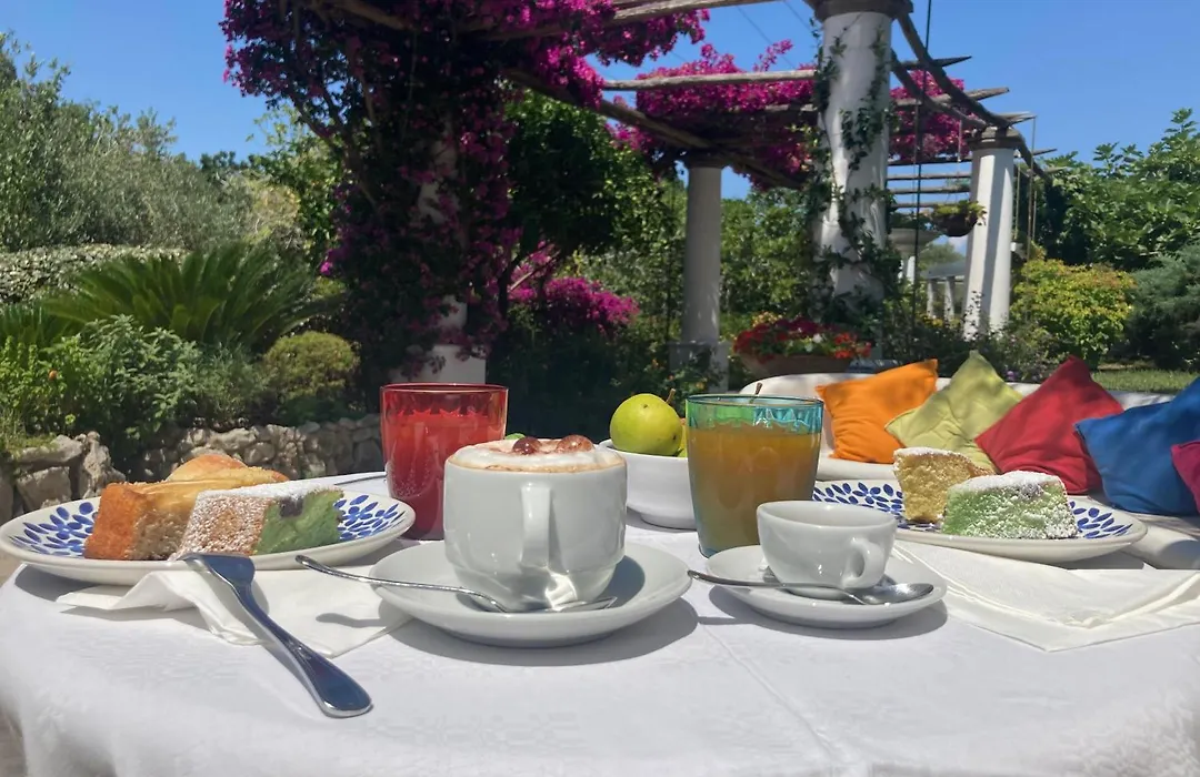 Hotel Al Mulino - Mediterranean Garden Retreat In Anacapri-1
