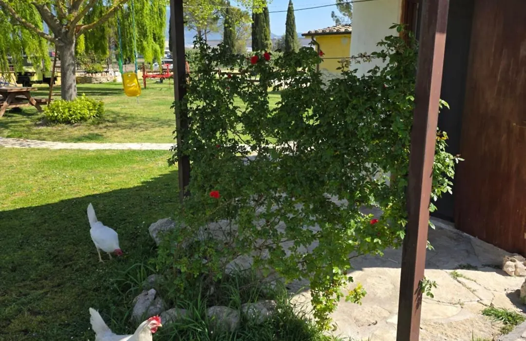 La Vecchia Stalla B&B-1