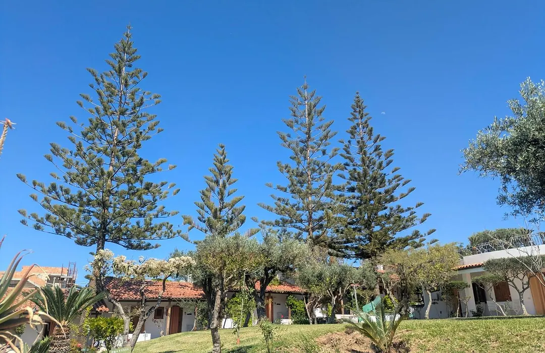 Villaggio La Pizzuta-1