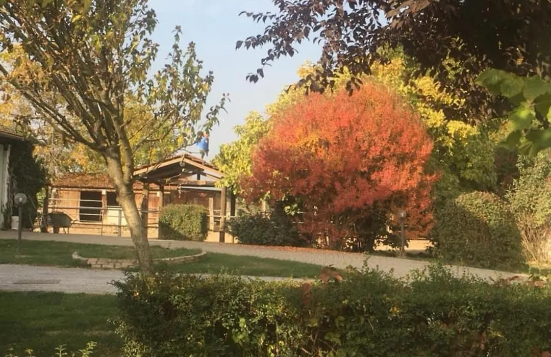B&B Cm Ranch-1