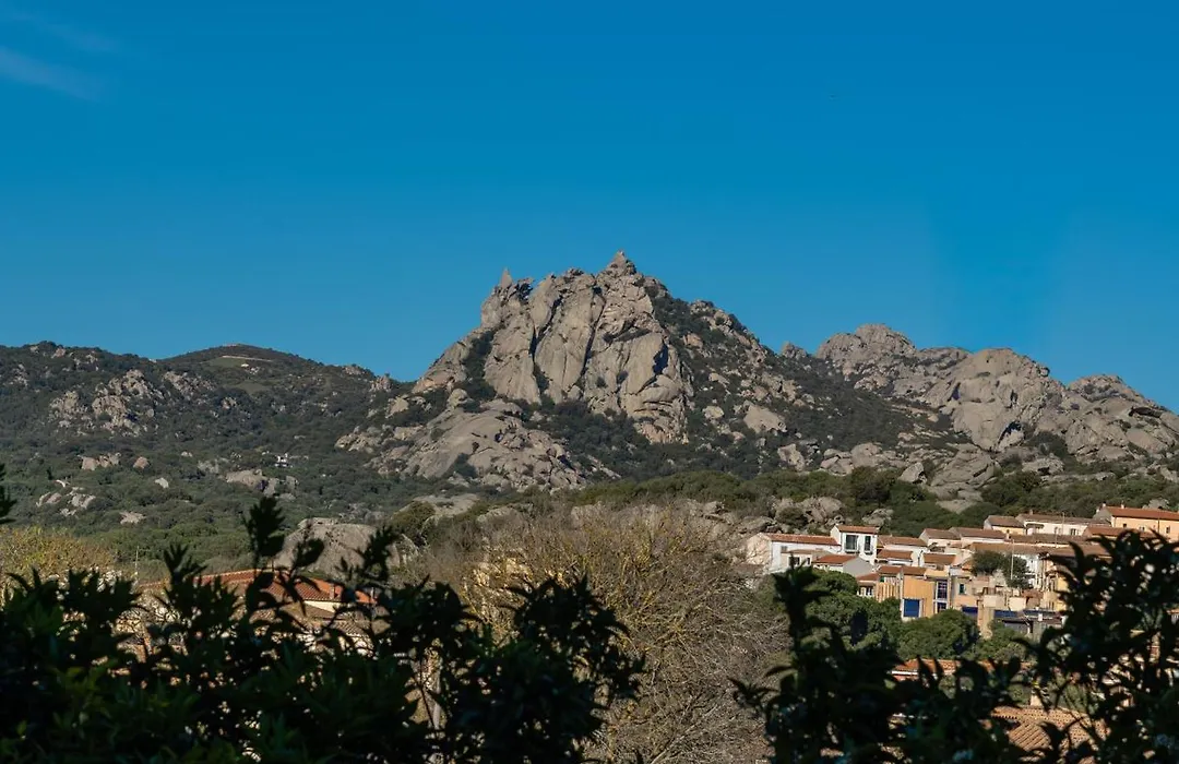 Hotel Citti-1