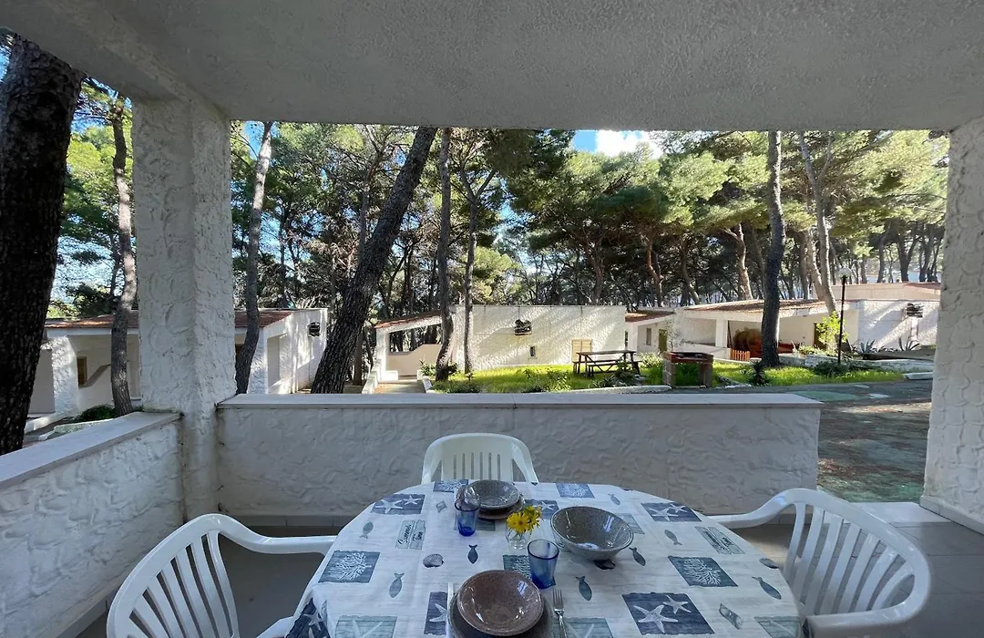 Sfinal Residence-1