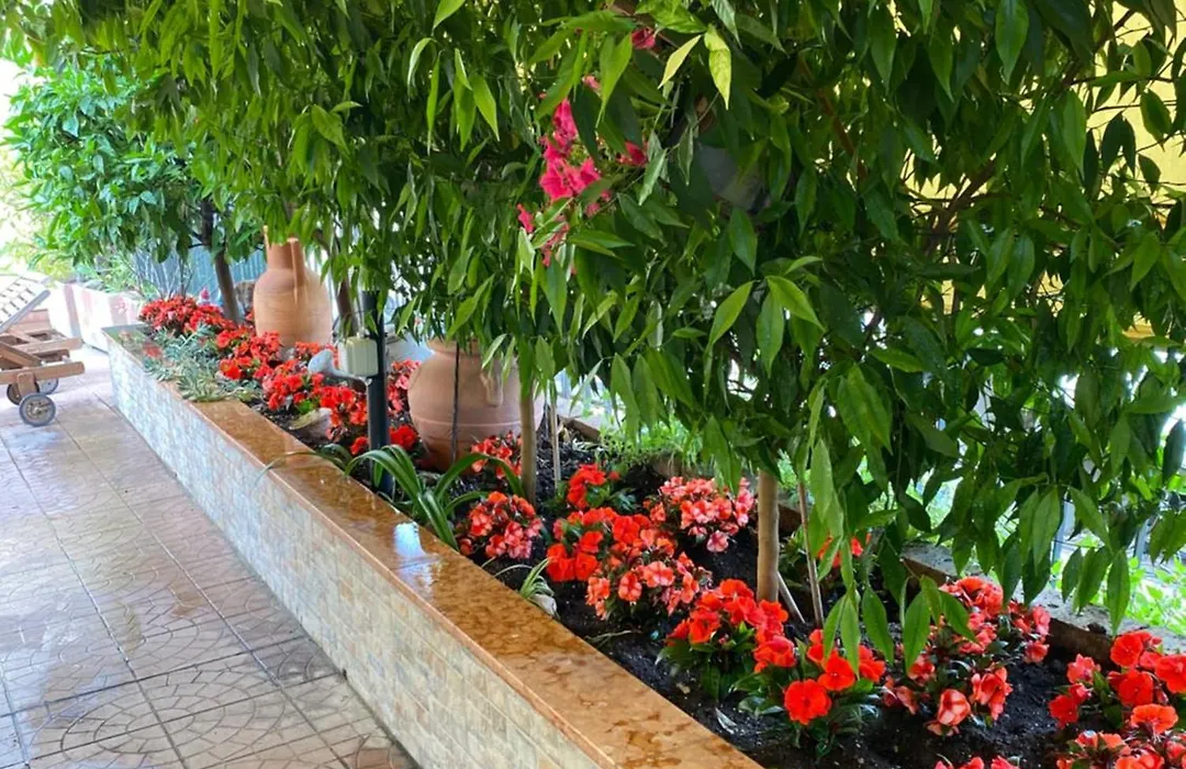 La Terrazza Appartamento Turisctico Agata-1