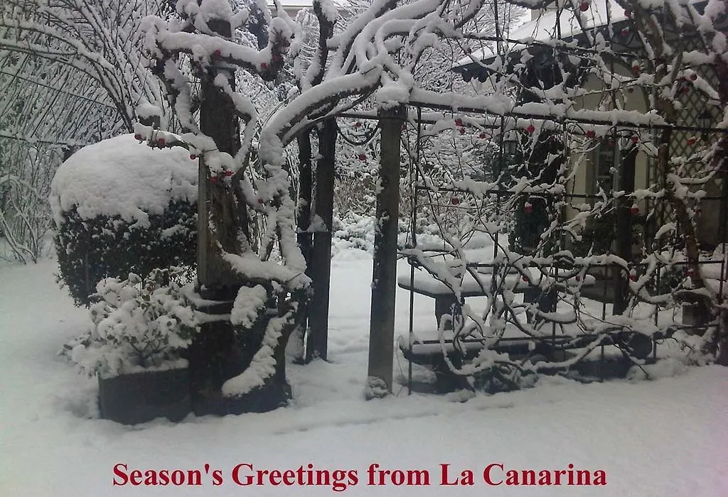 La Canarina Bed & Breakfast-1
