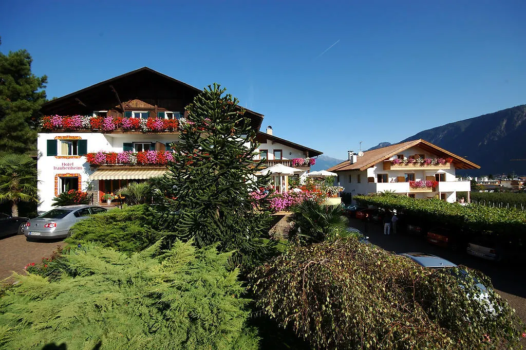 Hotel Traubenheim-1