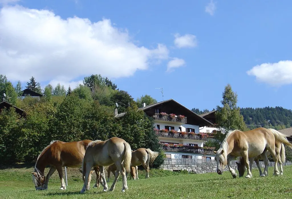 Haus Hafner-1