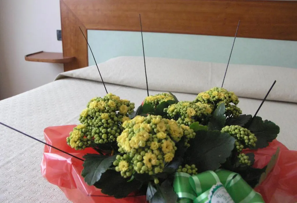 Hotel Smeraldo Torino-1