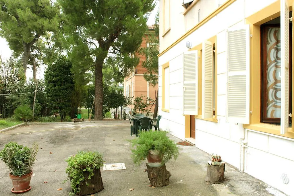 Pino Marittimo-1