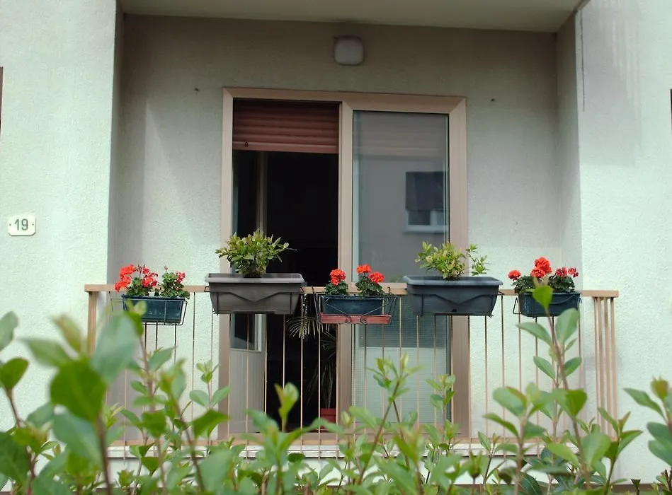 Guest House Cuore del Friuli-1