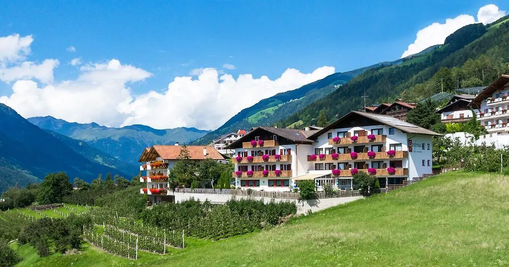 Pension Grafenau-1