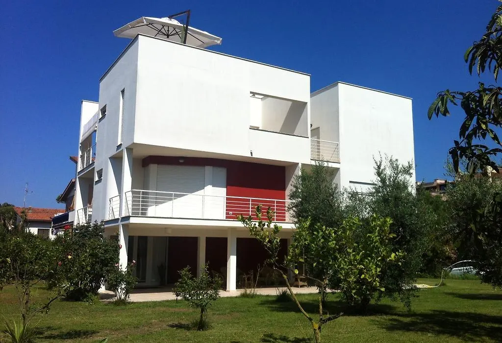 Domus-1