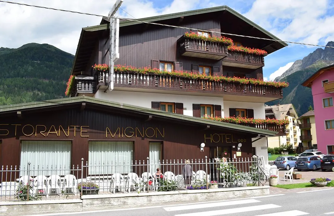 Hotel Mignon-1