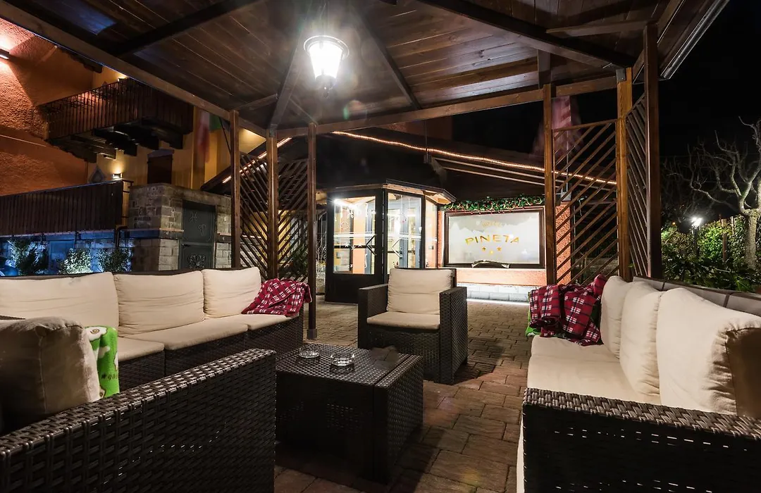 Hotel Pineta-1