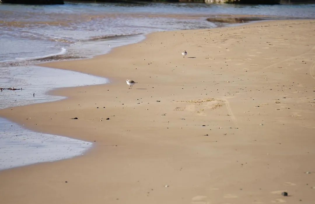 Sottovento Playa-1