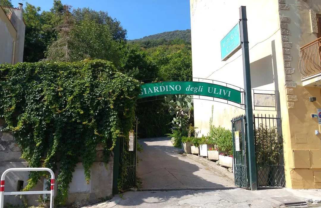 Hotel Giardino degli Ulivi-1
