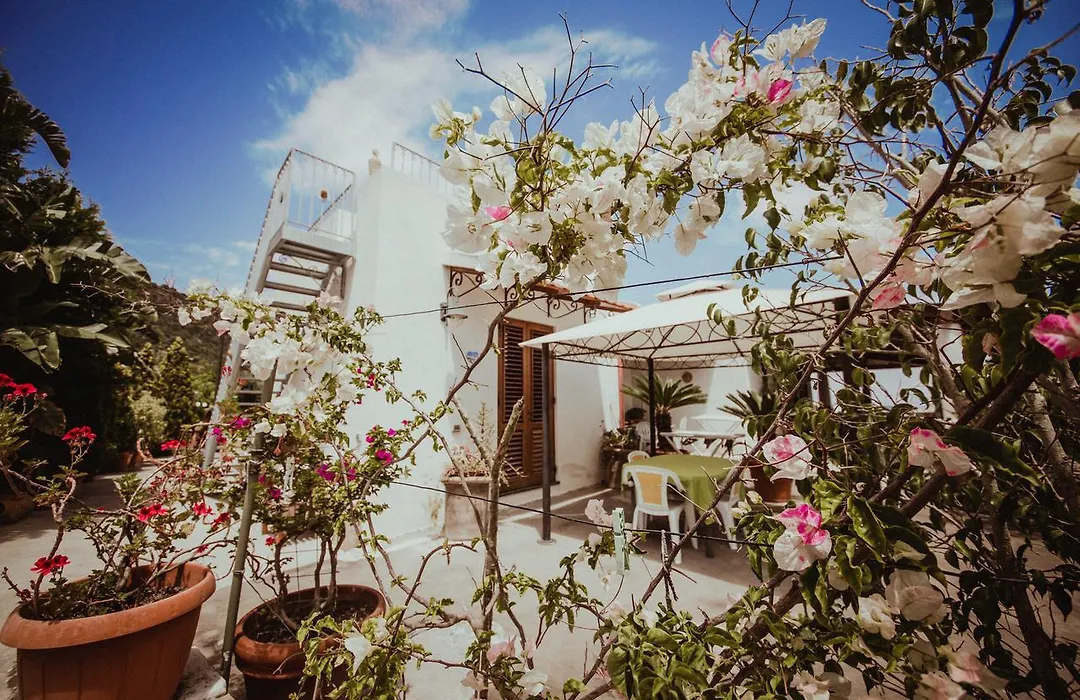 Casa Papiro-1