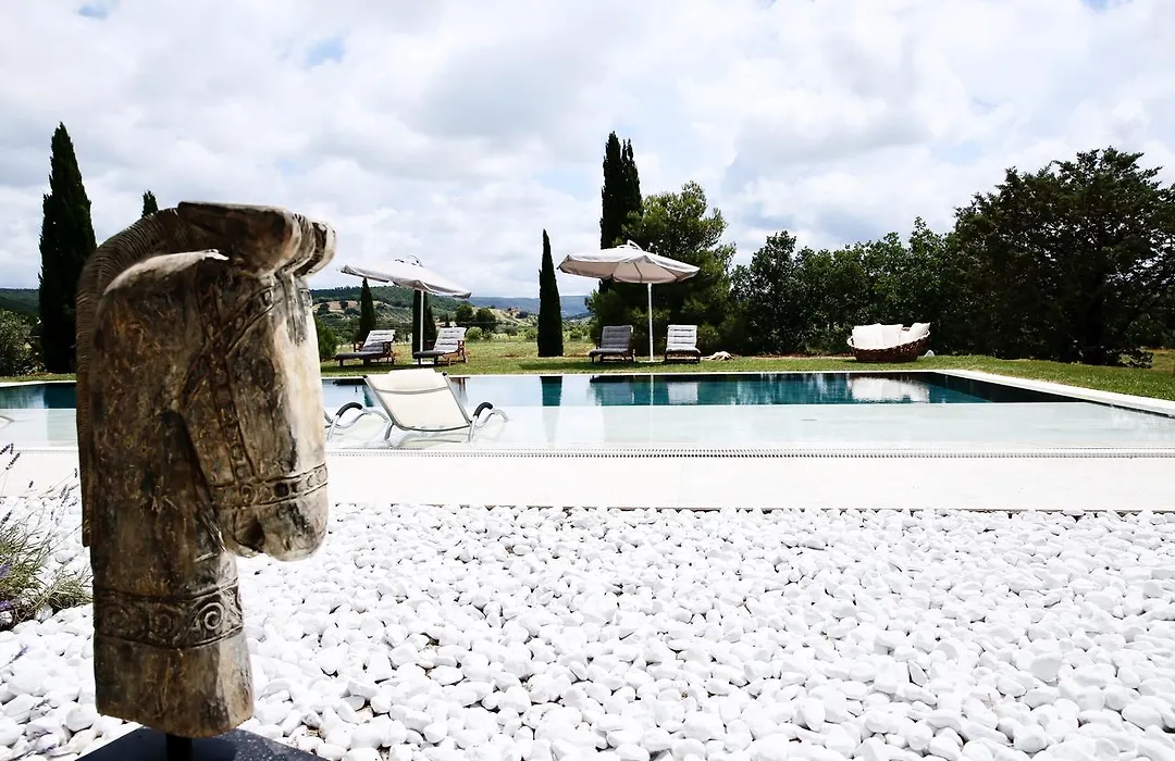 Dojo Bianco-1