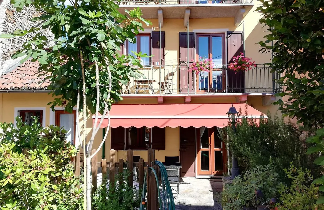 Campino-1