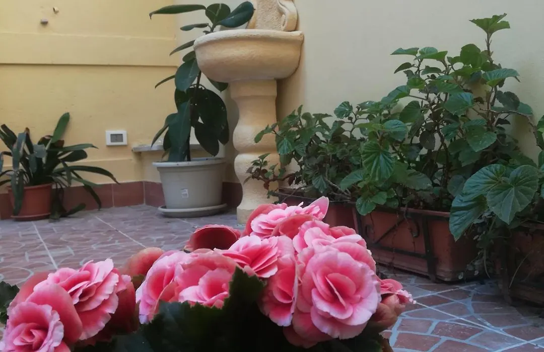 Le Rose Del Viale-1