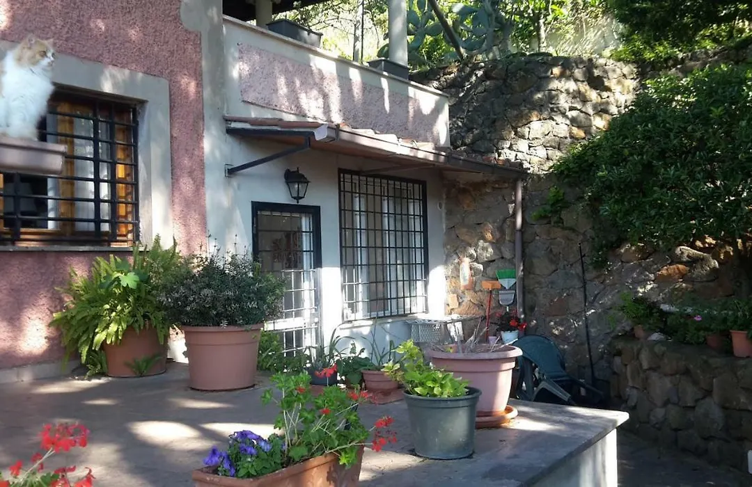 Bed&Breakfast Fiorella sul Lago-1