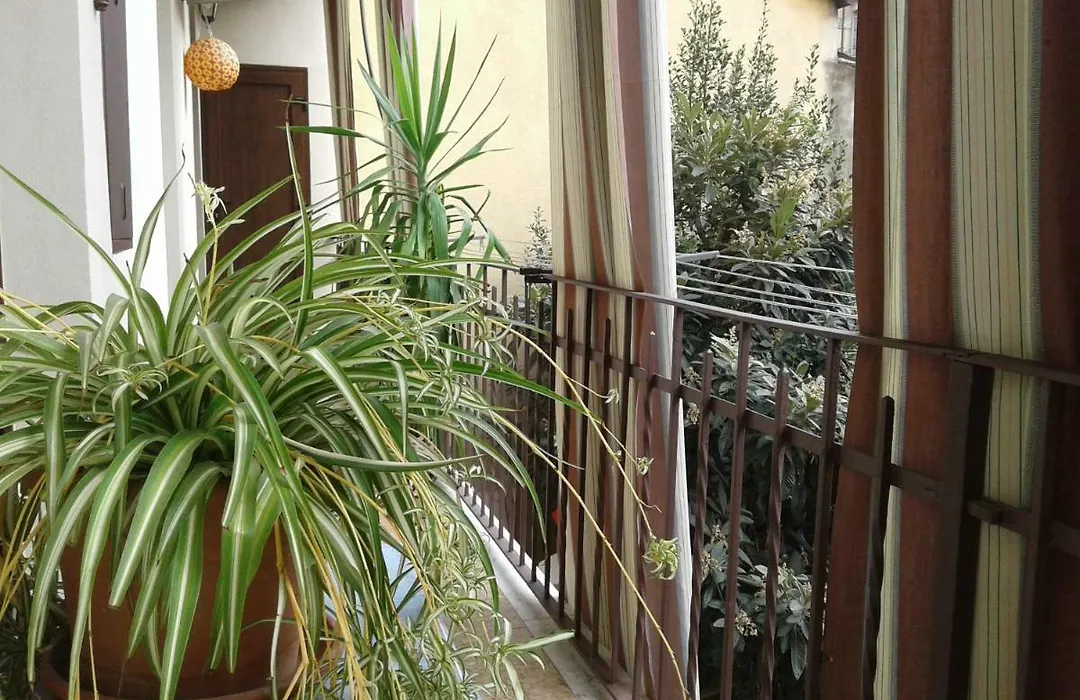 Viktoria B&B-1