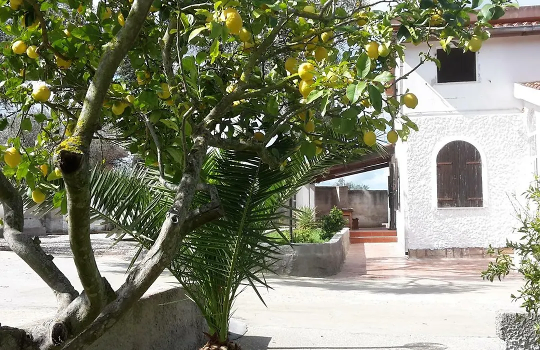 B&B I 4 Venti-1