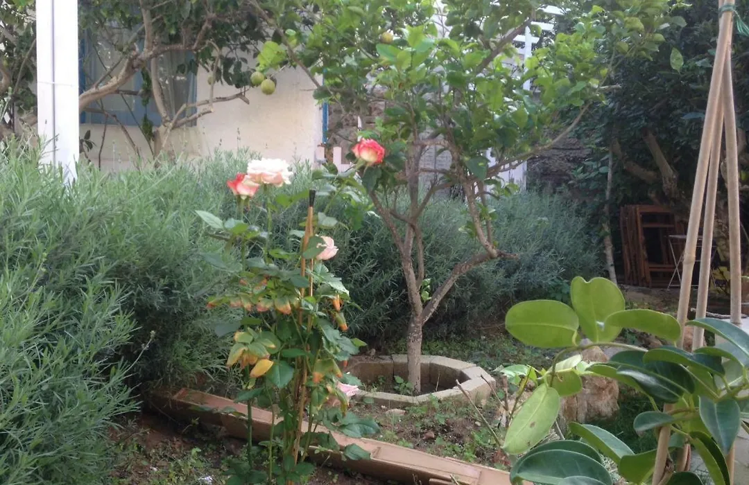 La Casa del Limoneto-1