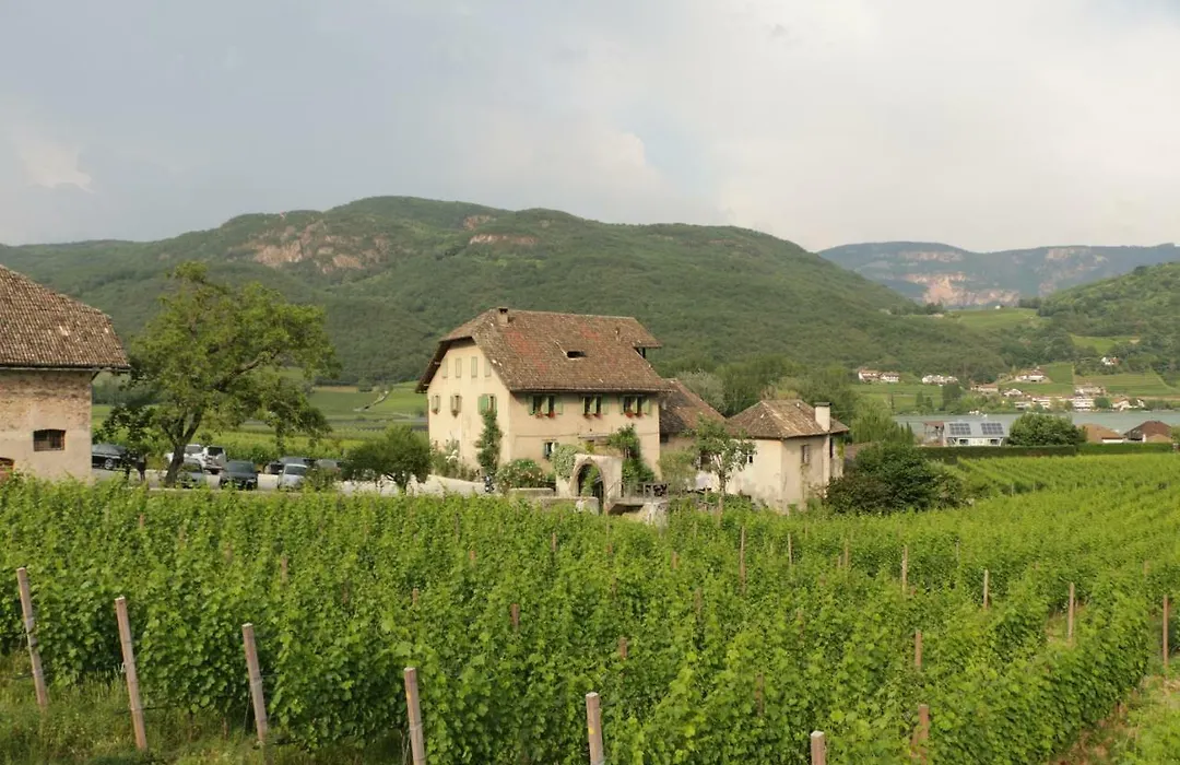 Weinbergsuite Panholzer-1