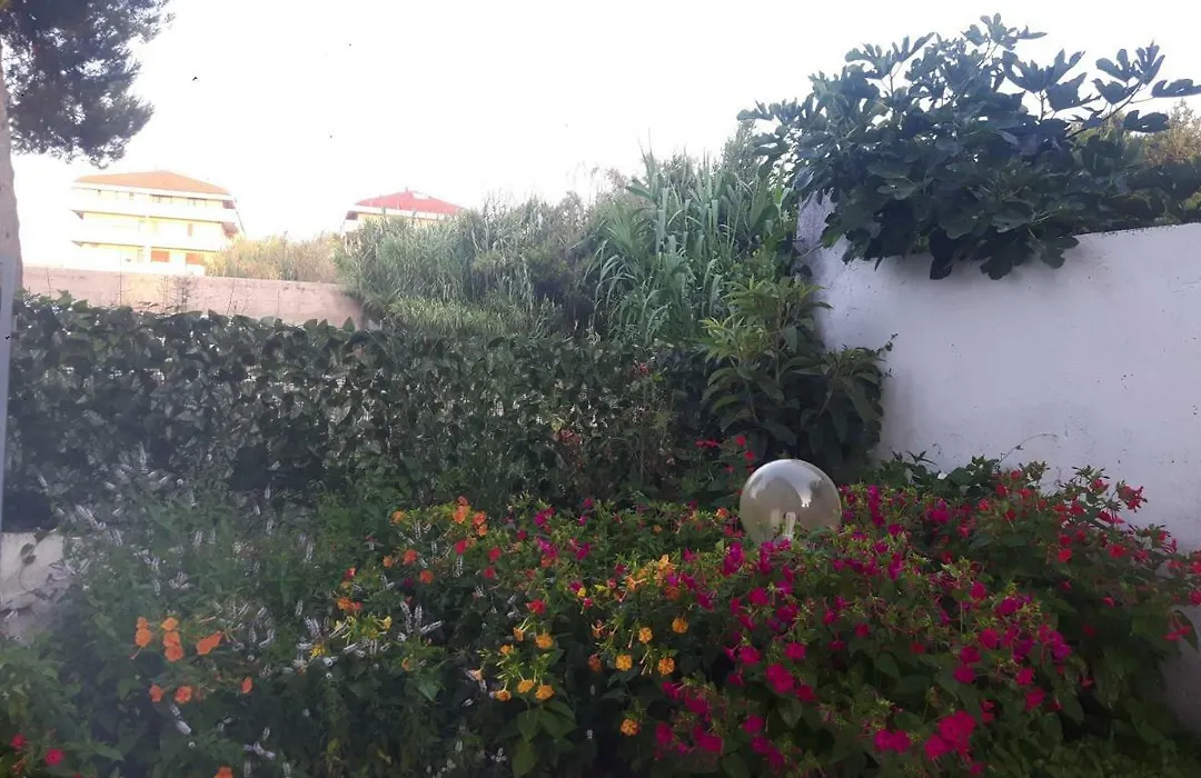 pienosole B&B-1
