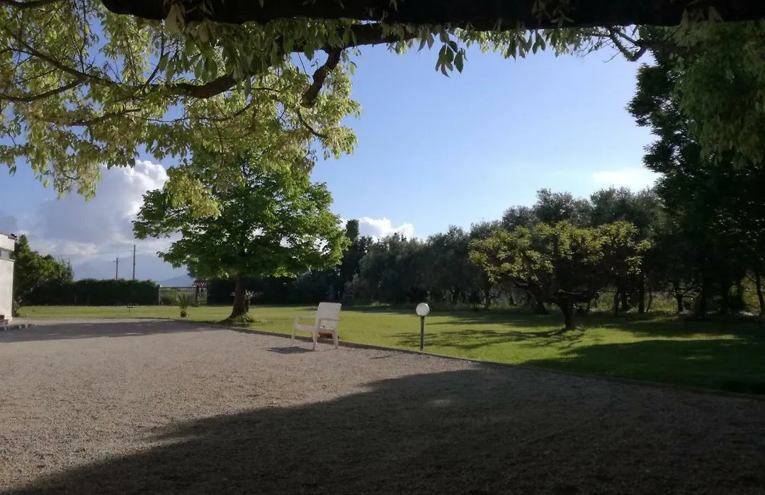 B&B Villa Napoli-1