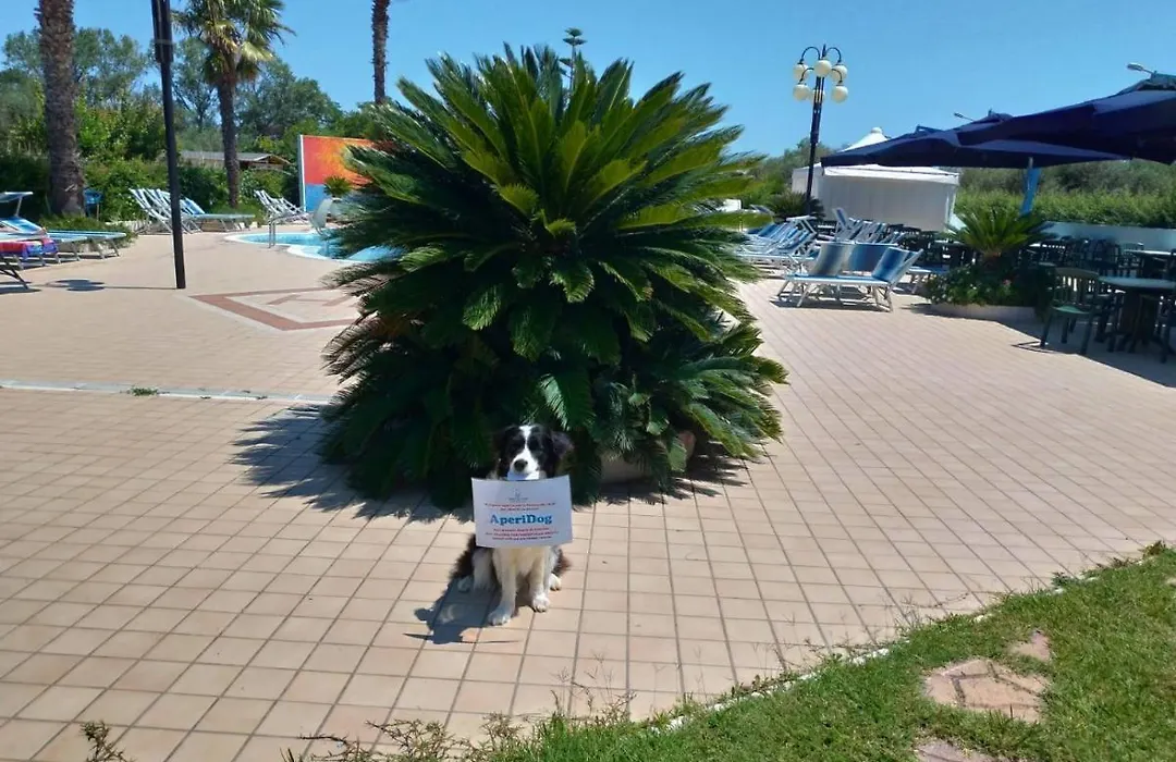 Hotel Marina-1